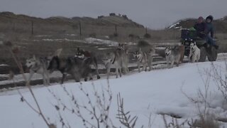 Middleton woman trains for the Idaho Sled Dog Challenge