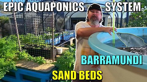 Owen's EPIC Aquaponics System | Sand beds Swamp Beds Barramundi + MORE