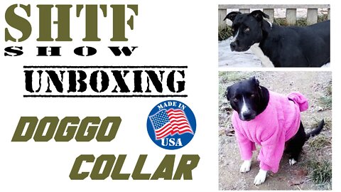 Unboxing: United States Tactical Dog Collar - Made in USA