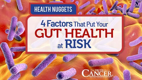 The Truth About Cancer Presents: Health Nuggets - 4 Factors That Put Your Gut Health at Risk