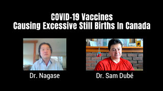 COVID-19 Vaccines Causing Excessive Still Births In Canada