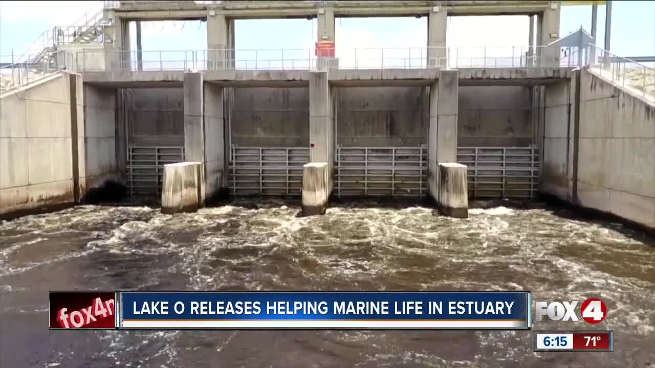 Lake Okeechobee releases helping to protect paradise