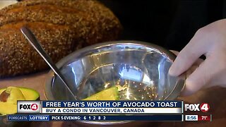 Free year's worth of avocado toast