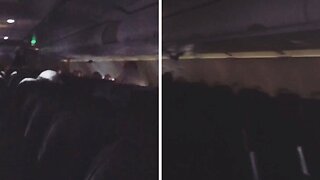 BATS ON A PLANE! SHOCKING VIDEO SHOWS PASSENGERS SCREAMING AS ‘BAT’ FLIES THROUGH AIRCRAFT