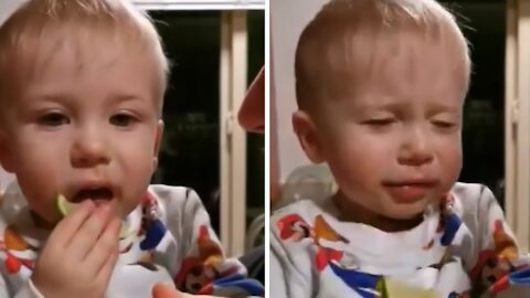 Baby tries eating lemon, has the most priceless reaction