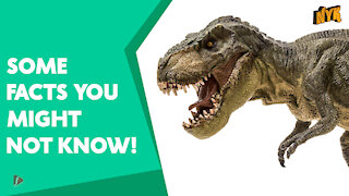 Top 4 Facts About Dinosaurs