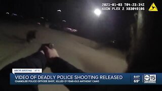 Video of deadly police shooting released