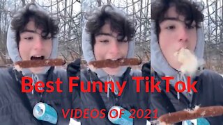 Best Funny TikTok Videos of 2021