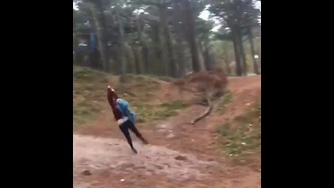 Forest tire swing ends in epic fail