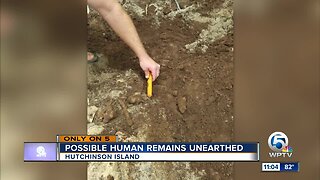 Possible Indian remains found on Hutchinson Island following Hurricane Dorian