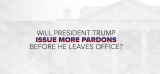 Who might Trump pardon before he leaves office?