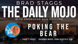 LIVE: Poking The Bear - The Daily Mojo
