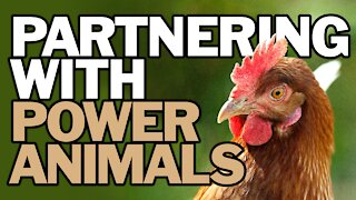 Partnering with Power Animals