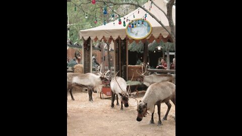 Santa's Reindeer Round-up--Disneyland History--2000's--TMS-1138