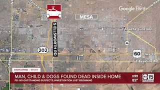 Police investigating after child, man and 2 dogs found dead inside Mesa home