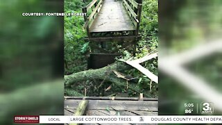 Fontenelle Forest reopening after storm damage