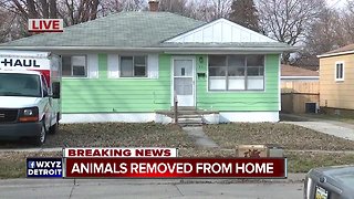 Animals removed from home