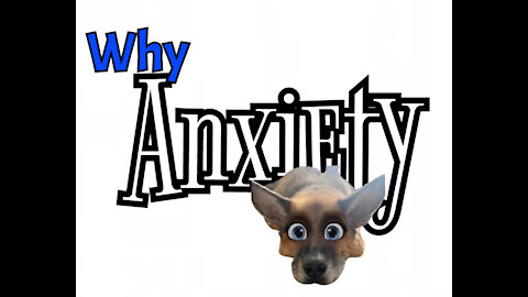 Why Anxiety ...