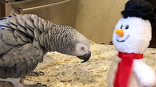 Dancing parrot and snowman have some awesome moves