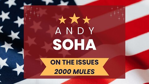Andy Soha on the Issues - 2000 Mules