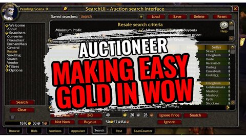 HOW TO USE AUCTIONEER ADDON WOW CLASSIC - Ty The Hunter
