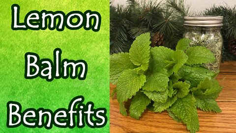 Lemon Balm Benefits and Uses