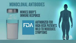 Palm Beach County doctors push for greater access to COVID-19 monoclonal antibody treatments