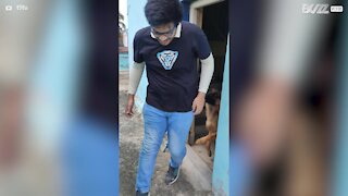 Young guy has emotional reunion with dog
