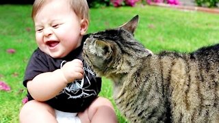 Funny cat with cute baby★ Animals Trolling Babies
