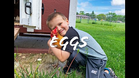 FOODIE || Farm-To-Table: Eggs (2022)