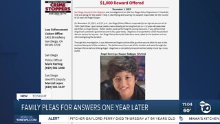 Skyline family pleas for answers as Crime Stoppers award is post for info killing of 12-year-old boy
