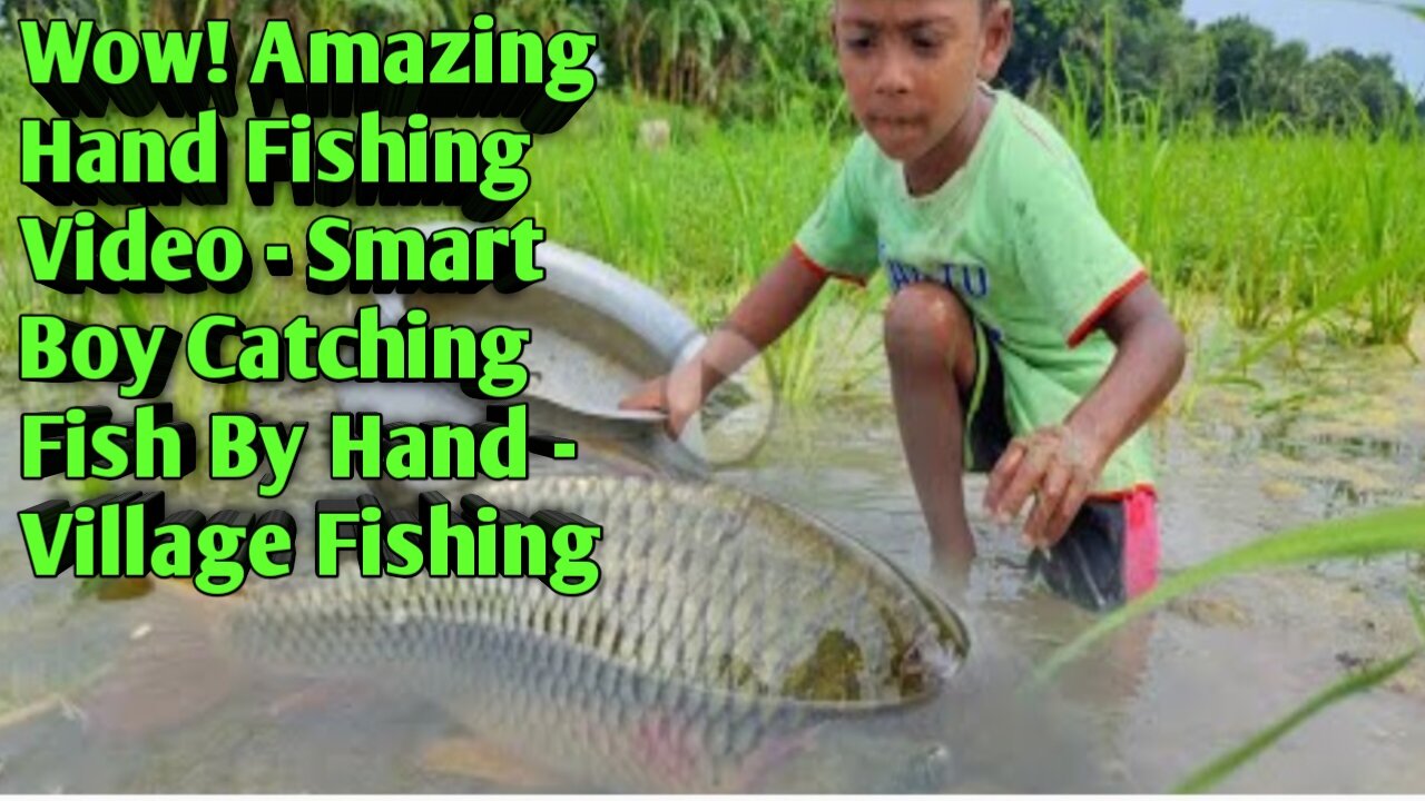 Wow! Amazing Hand Fishing Video - Smart Boy Catching Fish By Hand
