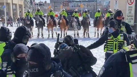 Brutalité policière à Ottawa