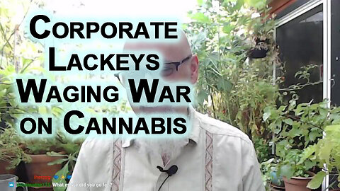 Politicians That Have Been Waging War on Cannabis Are Just Corporate Lackeys