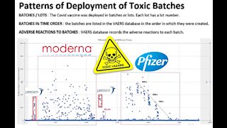 Highly Disturbing VAERS Analysis: Clear patterns in toxic vaccine batches - Craig Paardekooper