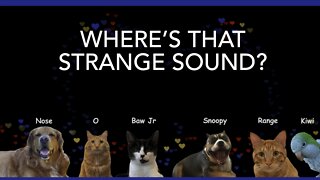 Where’s That Strange Sound?