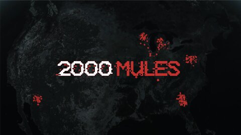 2000 mules review | Is it worth watching?