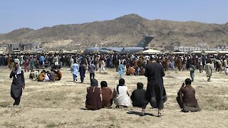 Taliban Announce 'Amnesty,' Urge Women To Join Government