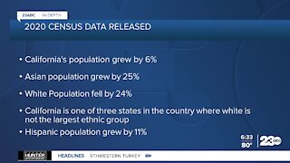 U.S. census data released