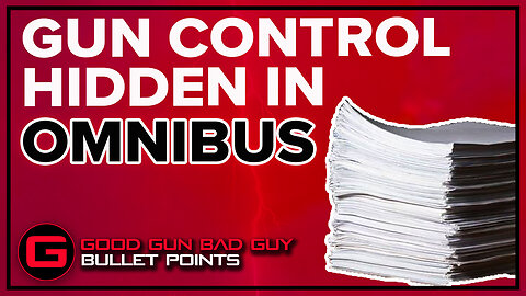 GUN CONTROL HIDDEN IN OMNIBUS | Good Gun Bad Guy | Bullet Points