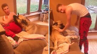 Watch how this dog reacts when you take his place on the couch