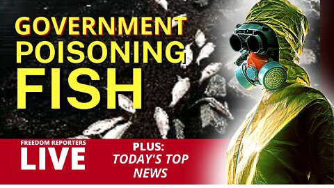 Government Poisoning Fish: Live News Coverage