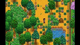 Will there be a 'Stardew Valley 2'?