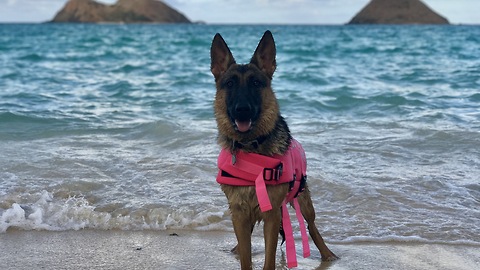 Saskia loves the beach