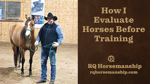 How I Evaluate Horses Before Training