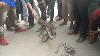 Crocodilo castigado por aldeões após atacar homem