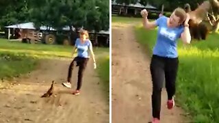 Angry bird hilariously chases away intrusive human