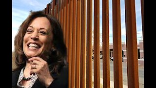 Vice President Harris Ignores The Border Crisis