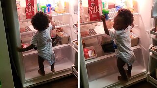 Sneaky Toddler Steals Milk Bottles From The Fridge