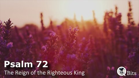 PSALM 072 // THE REIGN OF THE RIGHTEOUS KING